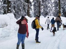 Manali Volvo Tour Package